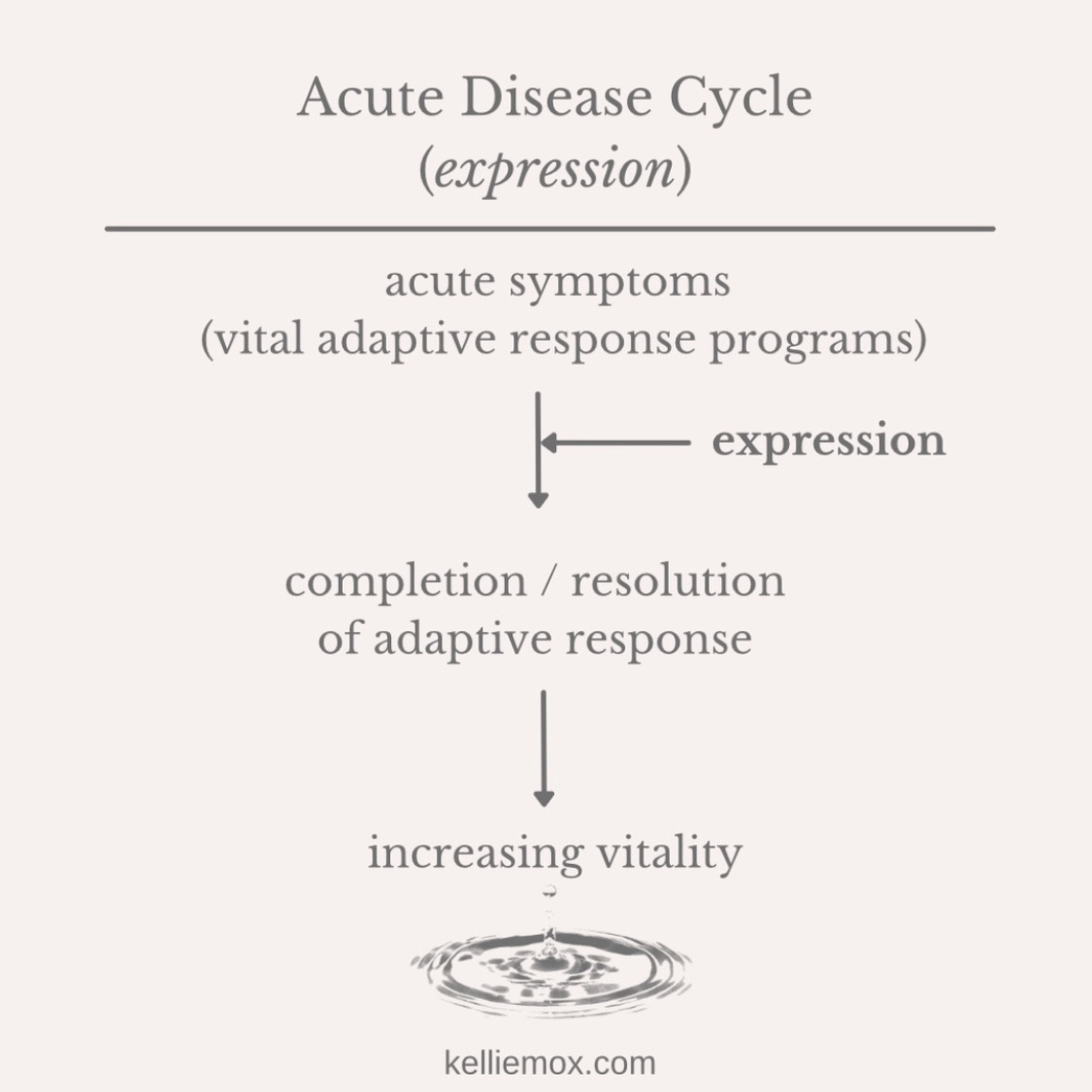 A text about Acute Disease Cycle on expression