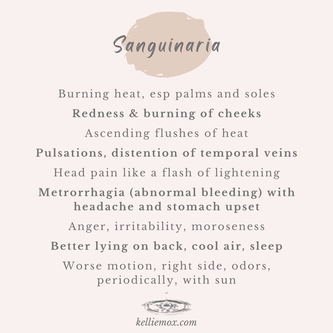 Information of Sanguinaria