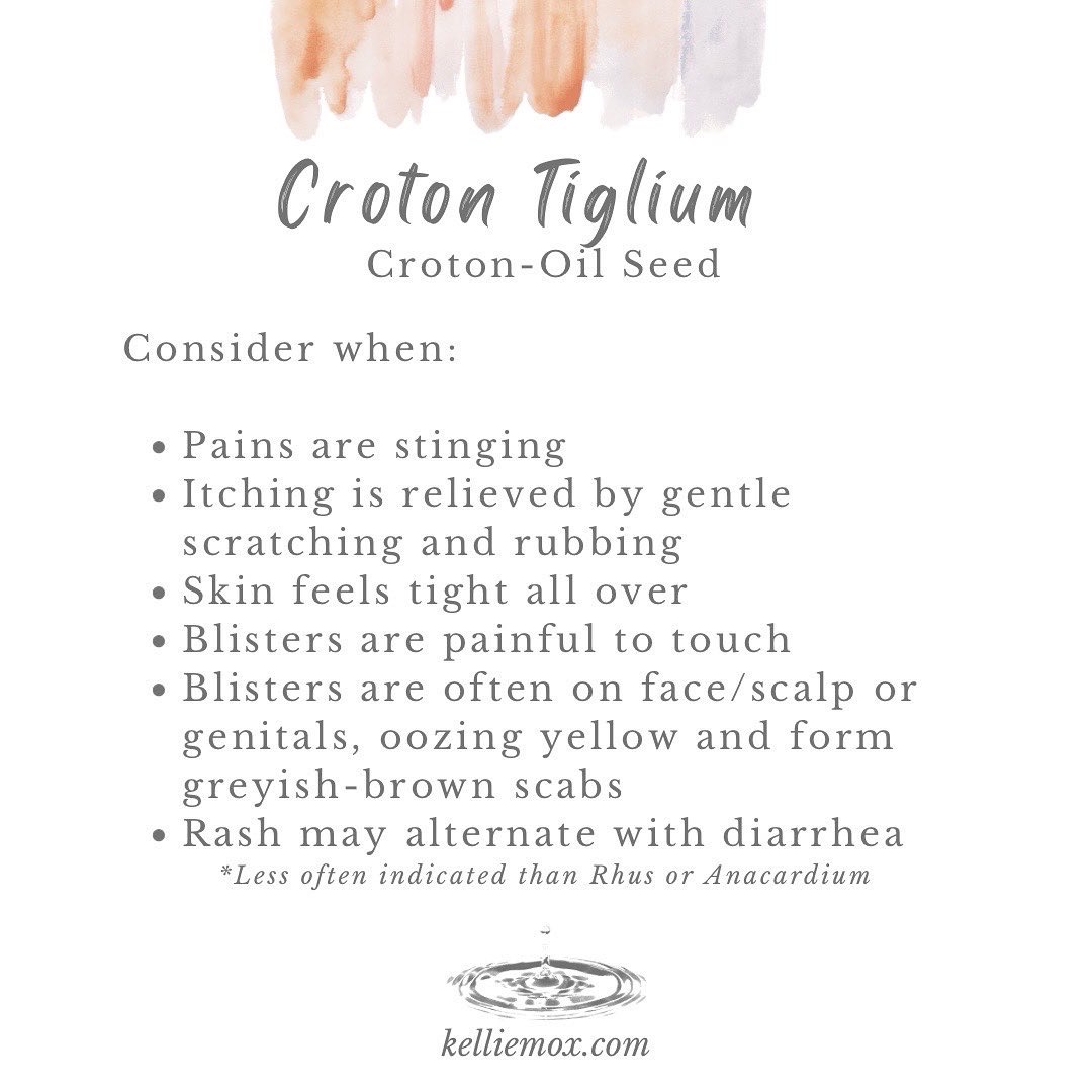 A text that says Croton Tiglium