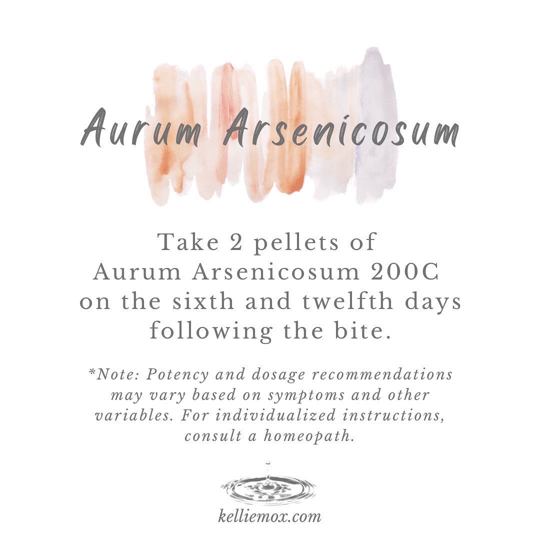 A text that says Aurum Arsenicosum