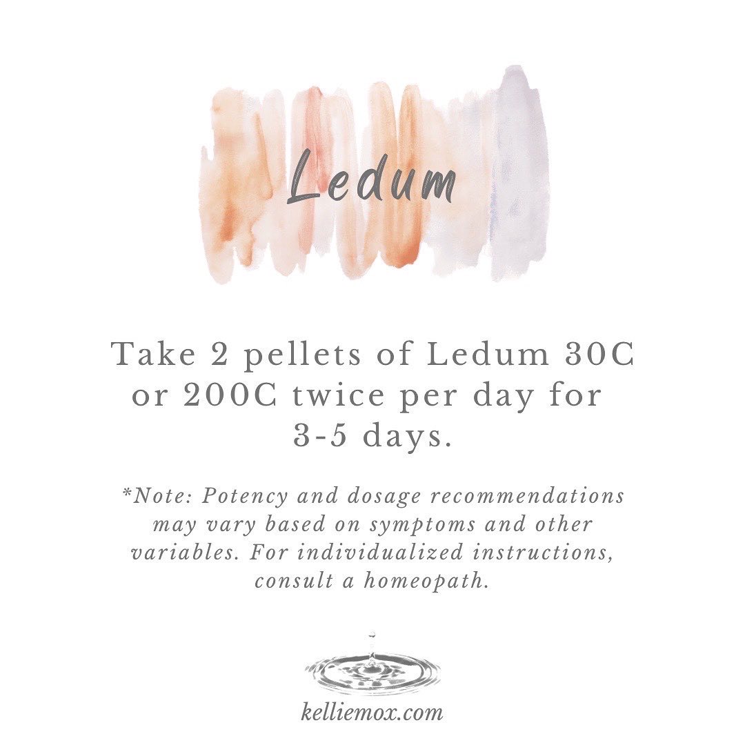 A text that says Ledum