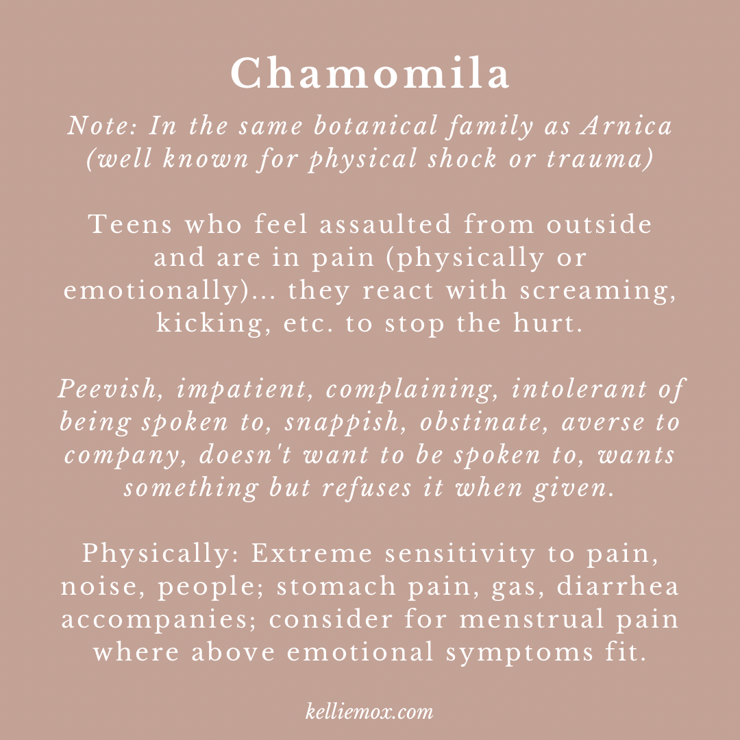 Information about Chamomila