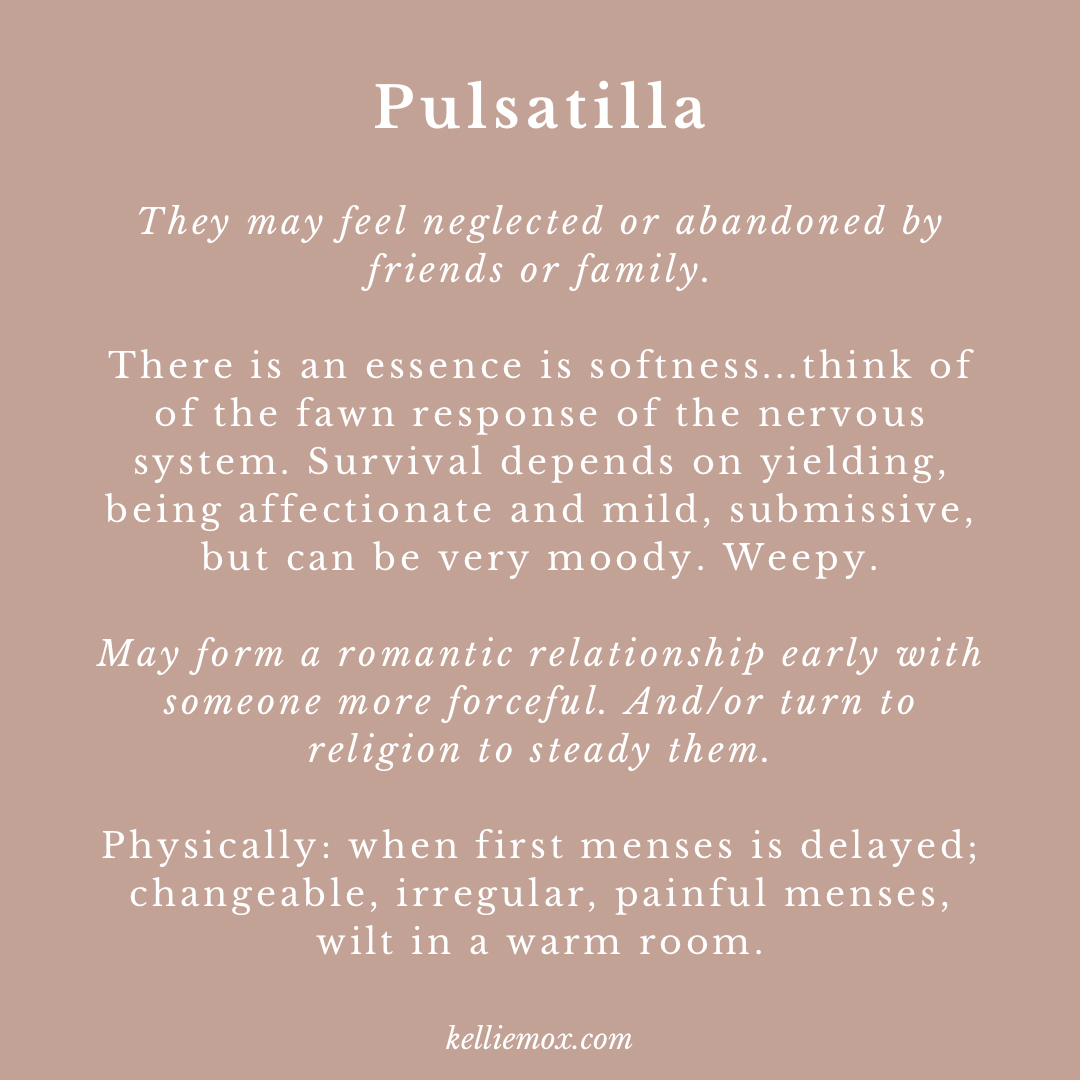 Information about Pulsatilla