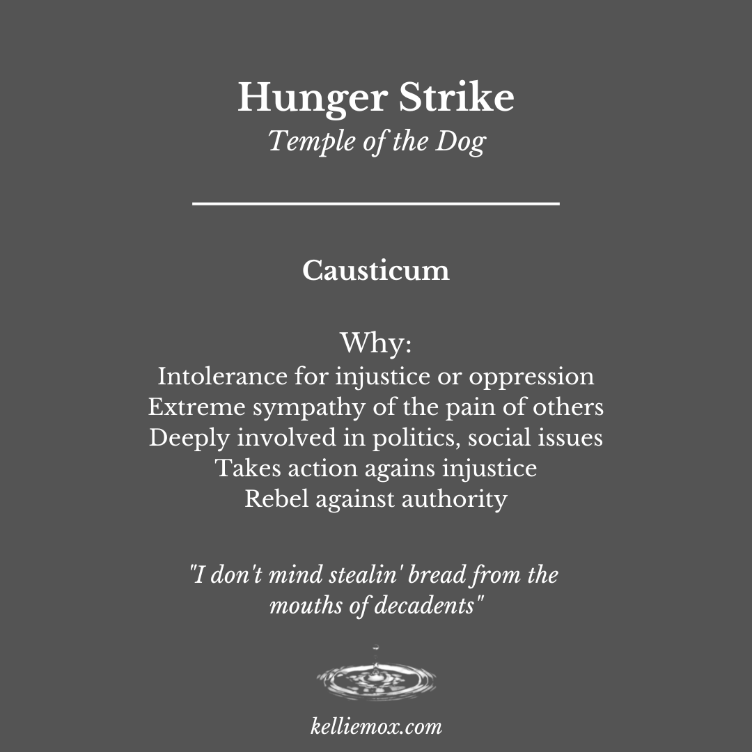 A text that says Hunger Strike